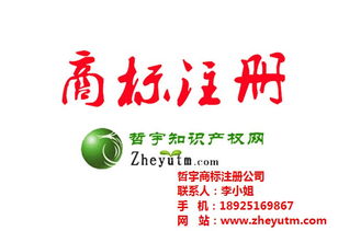哲宇知識產權代理 圖 廣東國際商標公司 國際商標高清圖片 高清大圖