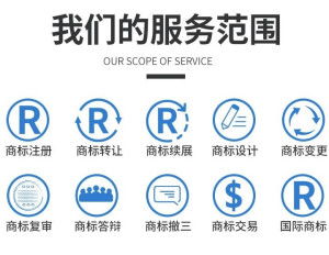 商標(biāo)近似查詢